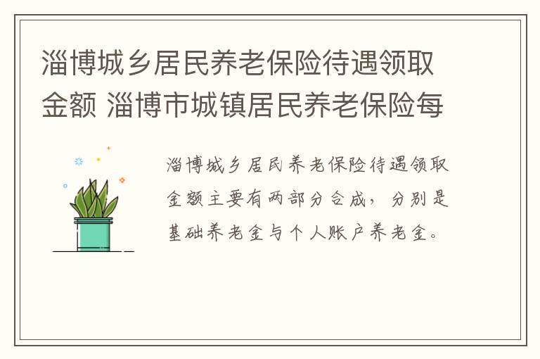 淄博城乡居民养老保险待遇领取金额 淄博市城镇居民养老保险每月领多少