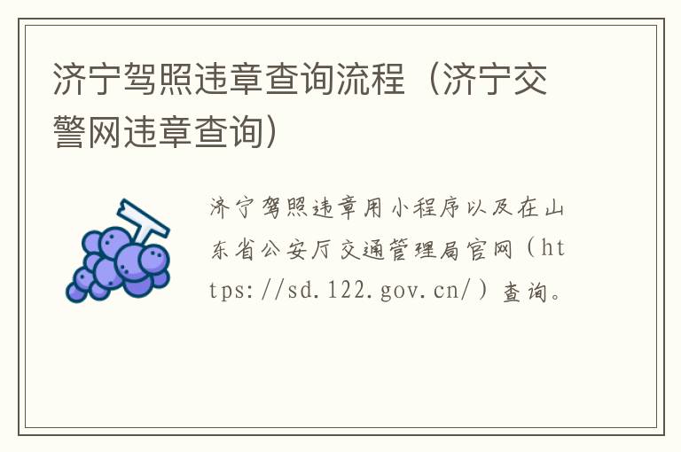 济宁驾照违章查询流程（济宁交警网违章查询）
