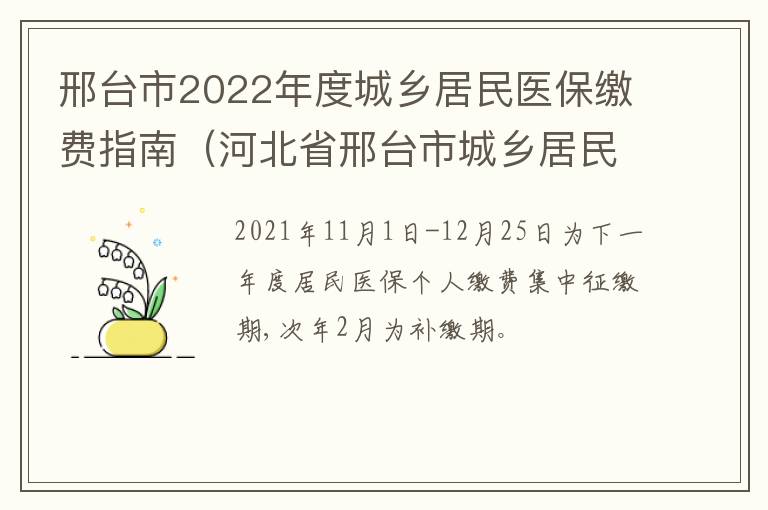 邢台市2022年度城乡居民医保缴费指南（河北省邢台市城乡居民医疗保险）