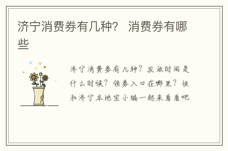济宁消费券有几种？ 消费券有哪些