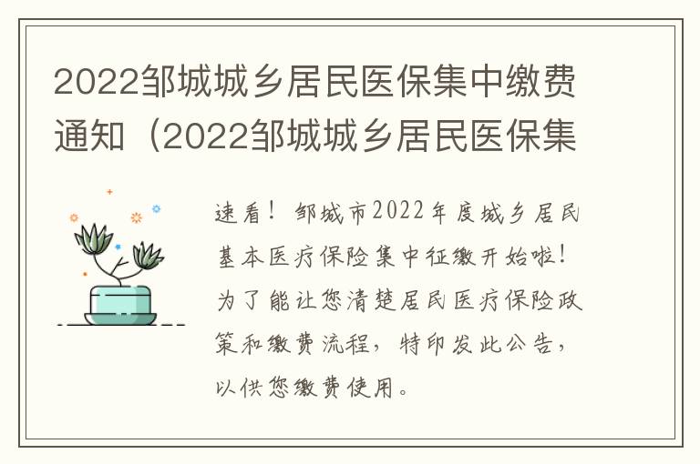 2022邹城城乡居民医保集中缴费通知（2022邹城城乡居民医保集中缴费通知书查询）