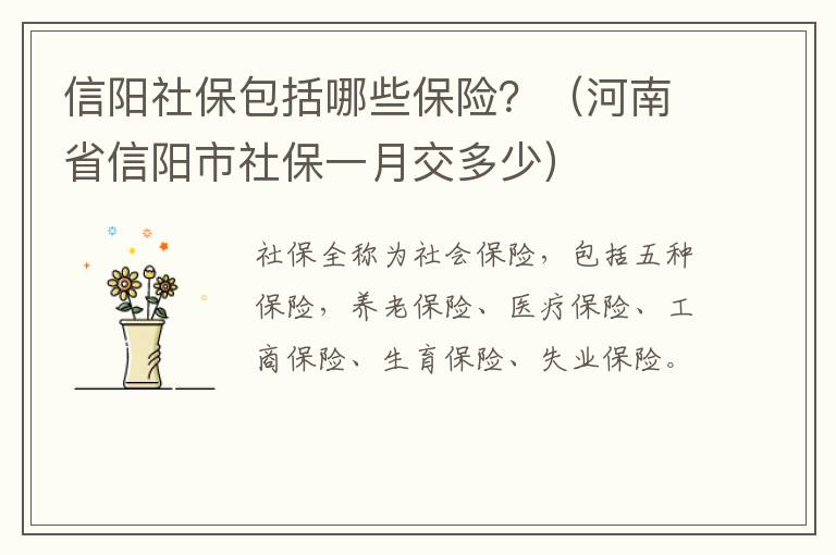 信阳社保包括哪些保险？（河南省信阳市社保一月交多少）