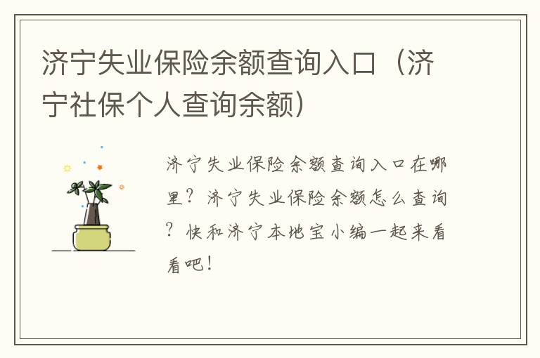 济宁失业保险余额查询入口（济宁社保个人查询余额）
