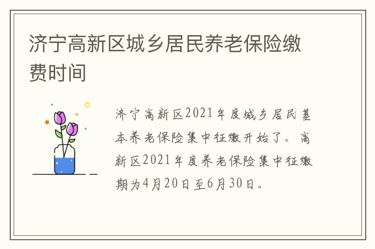 济宁高新区城乡居民养老保险缴费时间