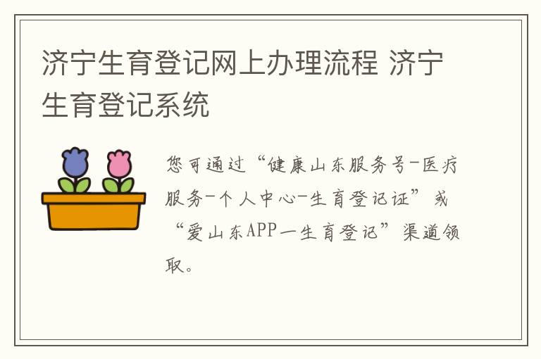 济宁生育登记网上办理流程 济宁生育登记系统