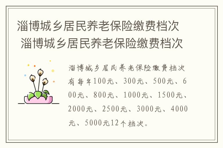 淄博城乡居民养老保险缴费档次 淄博城乡居民养老保险缴费档次是多少