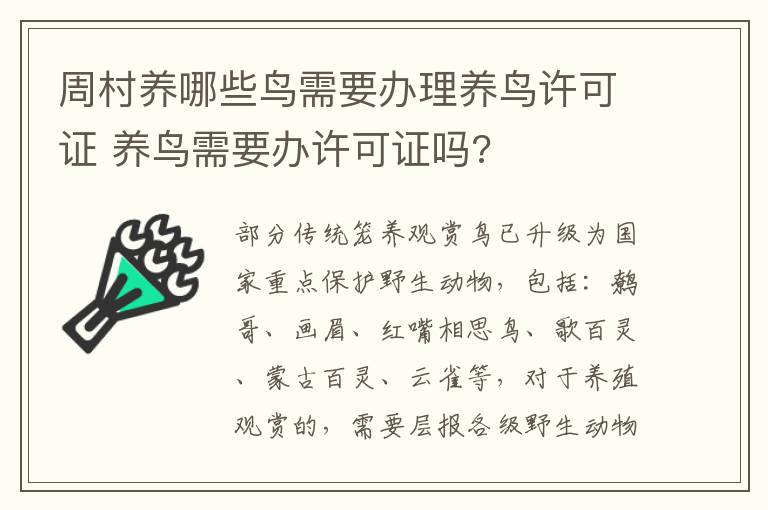 周村养哪些鸟需要办理养鸟许可证 养鸟需要办许可证吗?