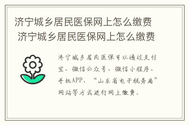 济宁城乡居民医保网上怎么缴费 济宁城乡居民医保网上怎么缴费的