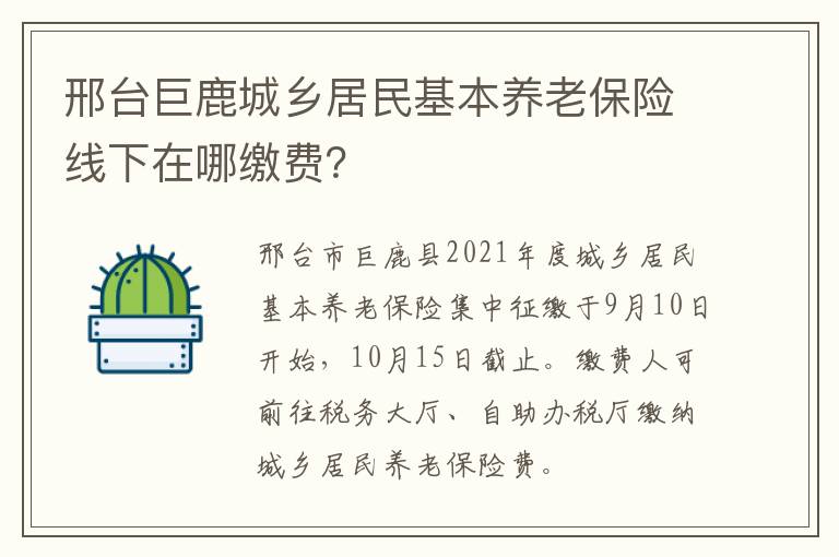 邢台巨鹿城乡居民基本养老保险线下在哪缴费？