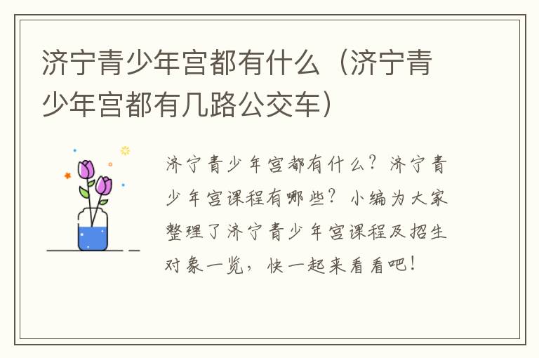 济宁青少年宫都有什么(济宁青少年宫都有几路公交车)