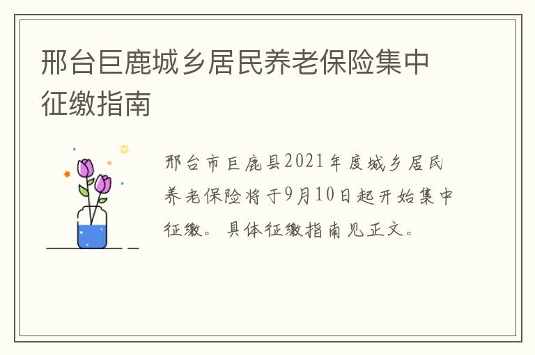 邢台巨鹿城乡居民养老保险集中征缴指南