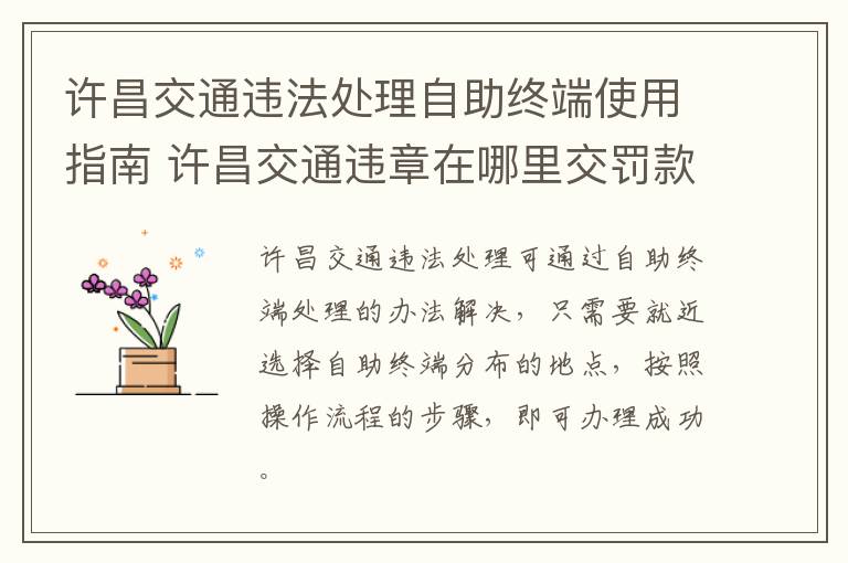 许昌交通违法处理自助终端使用指南 许昌交通违章在哪里交罚款