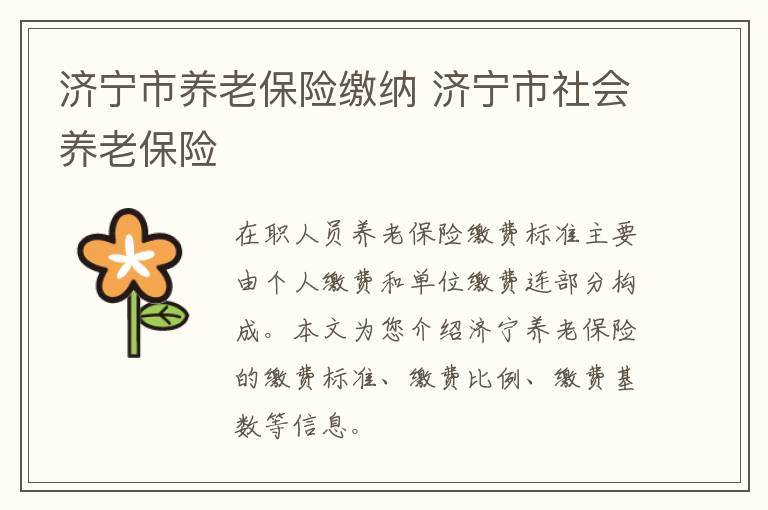 济宁市养老保险缴纳 济宁市社会养老保险