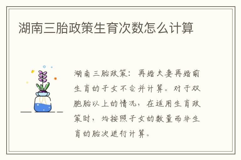 湖南三胎政策生育次数怎么计算