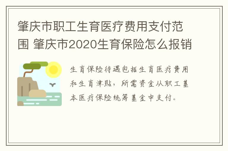 肇庆市职工生育医疗费用支付范围 肇庆市2020生育保险怎么报销