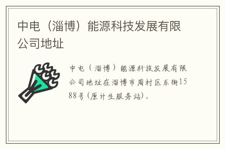 中电（淄博）能源科技发展有限公司地址
