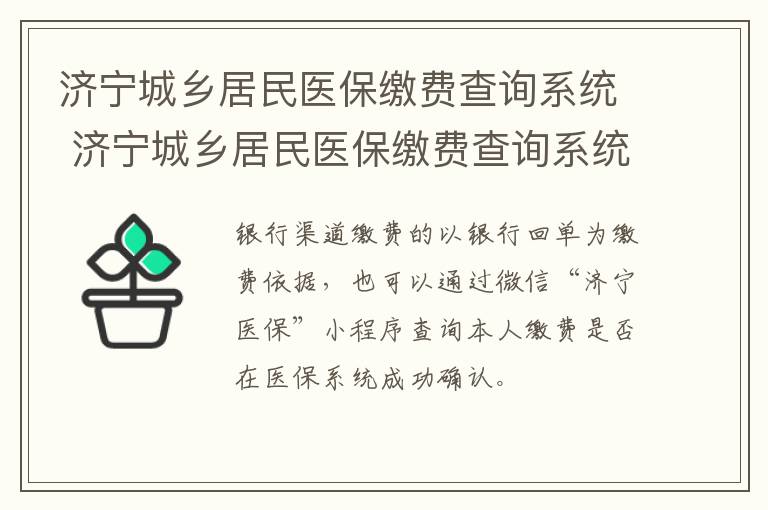 济宁城乡居民医保缴费查询系统 济宁城乡居民医保缴费查询系统官网