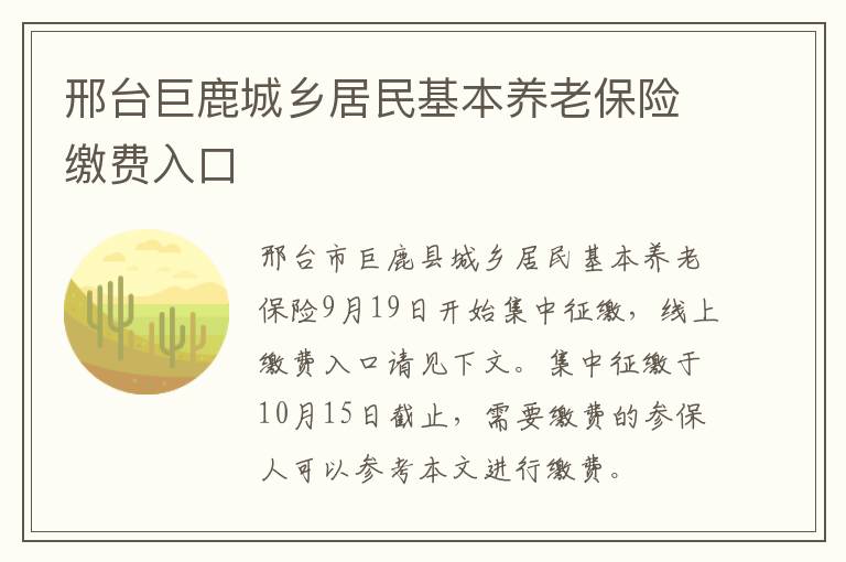 邢台巨鹿城乡居民基本养老保险缴费入口