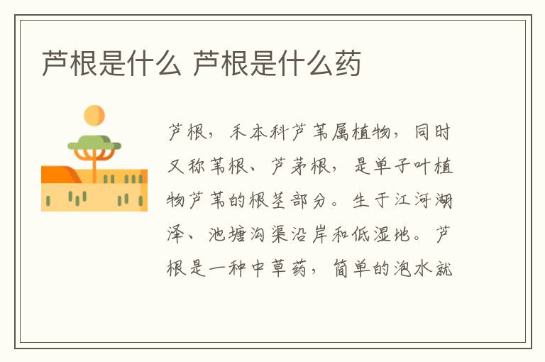 芦根是什么 芦根是什么药