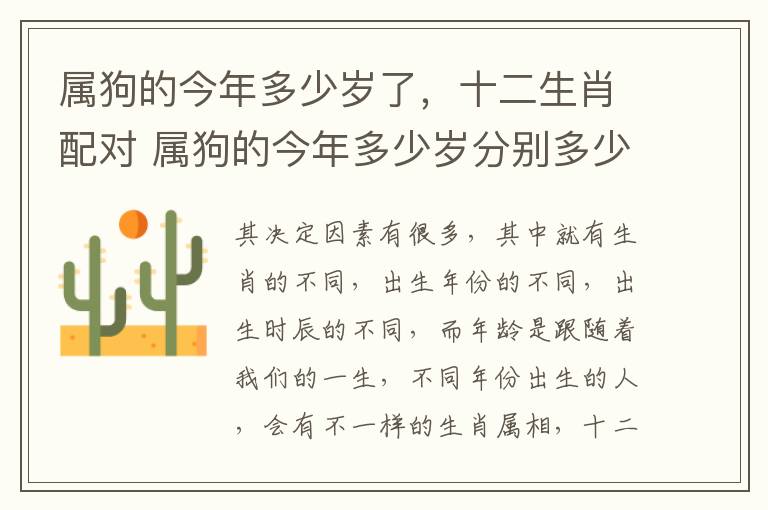 属狗的今年多少岁了，十二生肖配对 属狗的今年多少岁分别多少岁