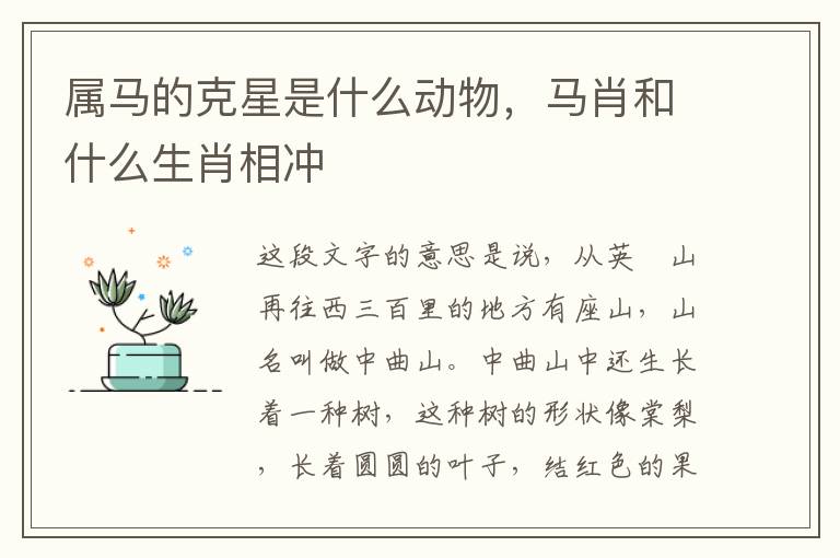 属马的克星是什么动物，马肖和什么生肖相冲