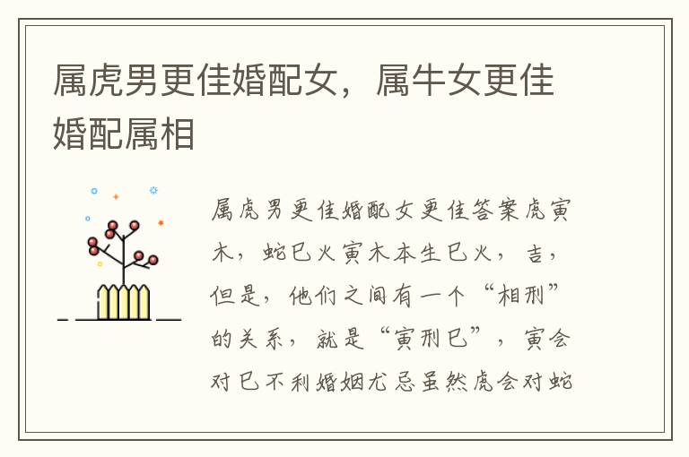 属虎男更佳婚配女，属牛女更佳婚配属相