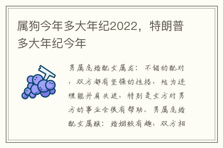 属狗今年多大年纪2022，特朗普多大年纪今年