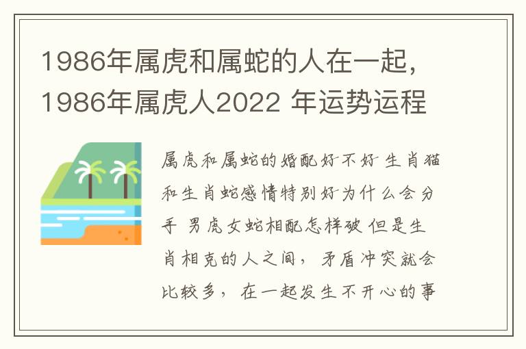 1986年属虎和属蛇的人在一起，1986年属虎人2022 年运势运程