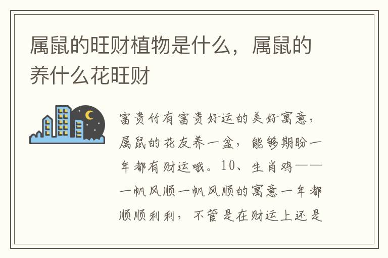 属鼠的旺财植物是什么，属鼠的养什么花旺财