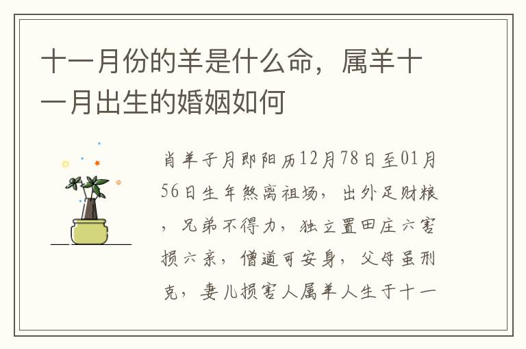 十一月份的羊是什么命，属羊十一月出生的婚姻如何