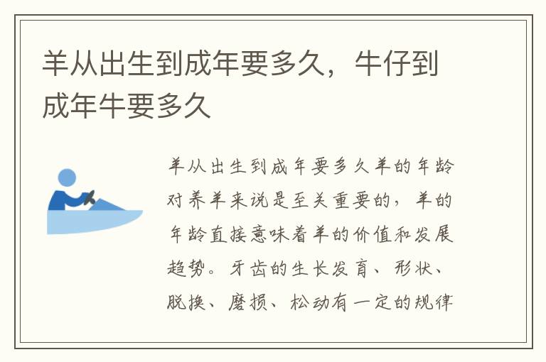 羊从出生到成年要多久，牛仔到成年牛要多久