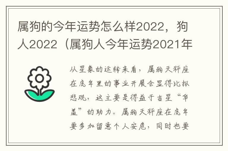 属狗的今年运势怎么样2022,狗人2022(属狗人今年运势2021年运势)