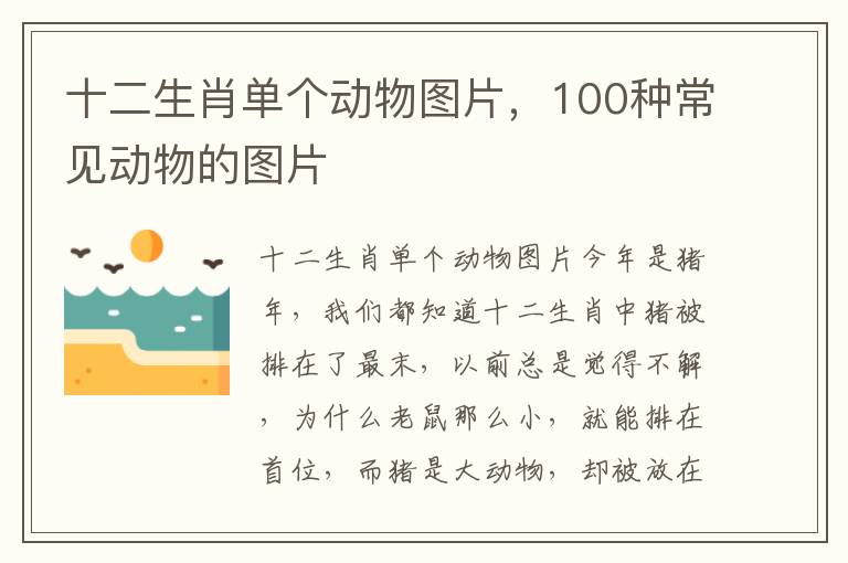 十二生肖单个动物图片，100种常见动物的图片