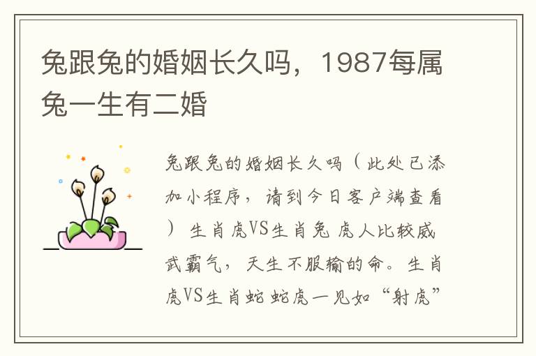 兔跟兔的婚姻长久吗，1987每属兔一生有二婚