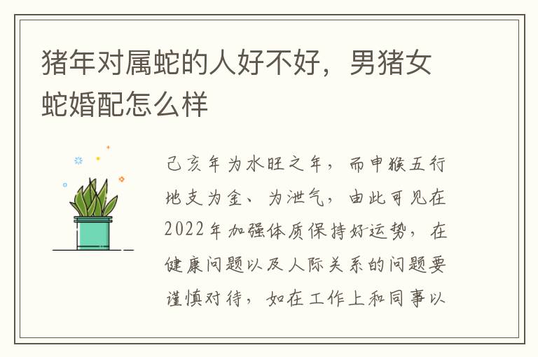 猪年对属蛇的人好不好，男猪女蛇婚配怎么样