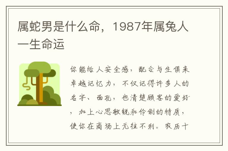 属蛇男是什么命，1987年属兔人一生命运