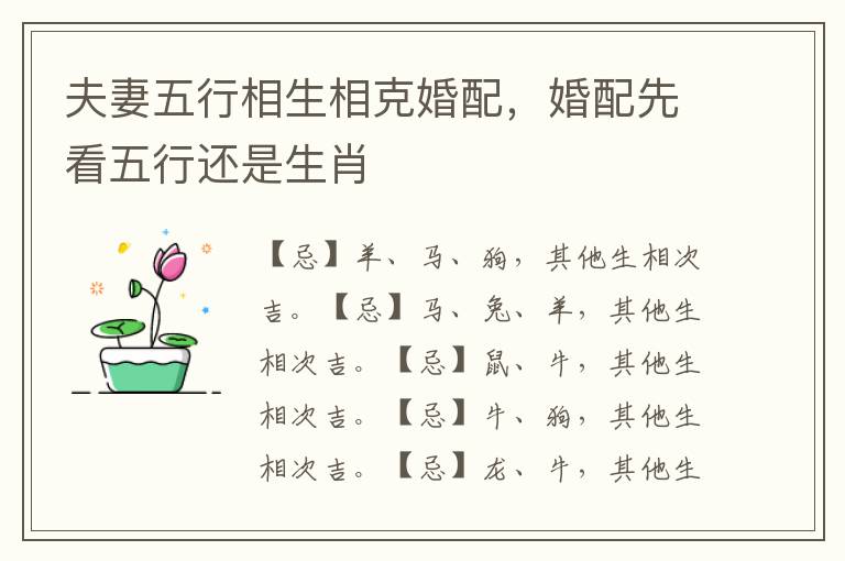 夫妻五行相生相克婚配，婚配先看五行还是生肖