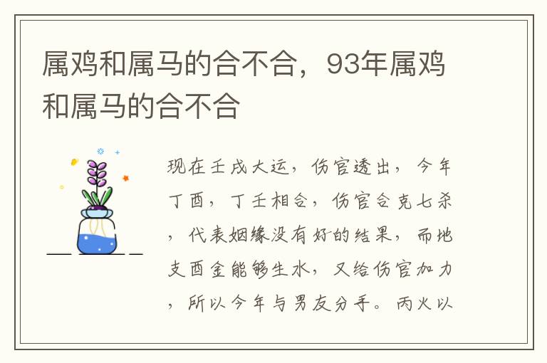 属鸡和属马的合不合，93年属鸡和属马的合不合