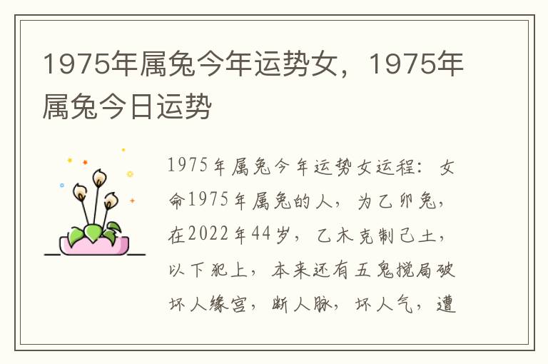 1975年属兔今年运势女，1975年属兔今日运势