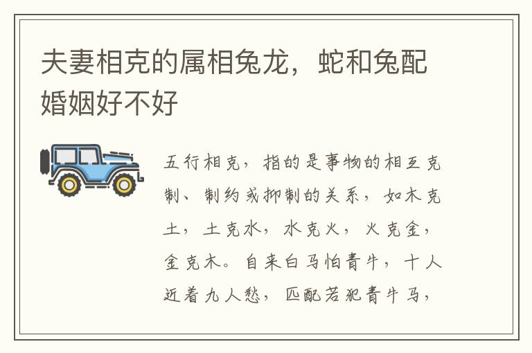 夫妻相克的属相兔龙，蛇和兔配婚姻好不好