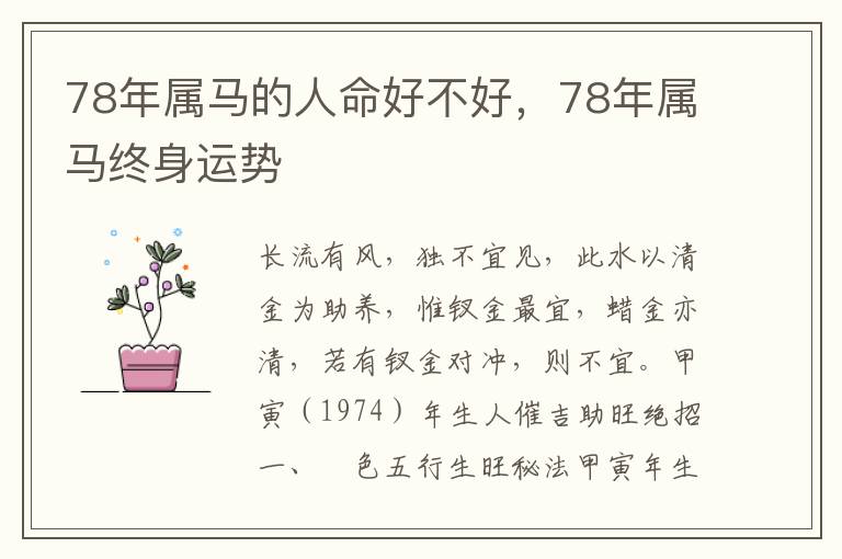 78年属马的人命好不好，78年属马终身运势
