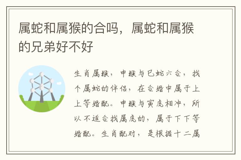 属蛇和属猴的合吗，属蛇和属猴的兄弟好不好