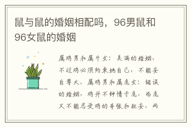 鼠与鼠的婚姻相配吗，96男鼠和96女鼠的婚姻