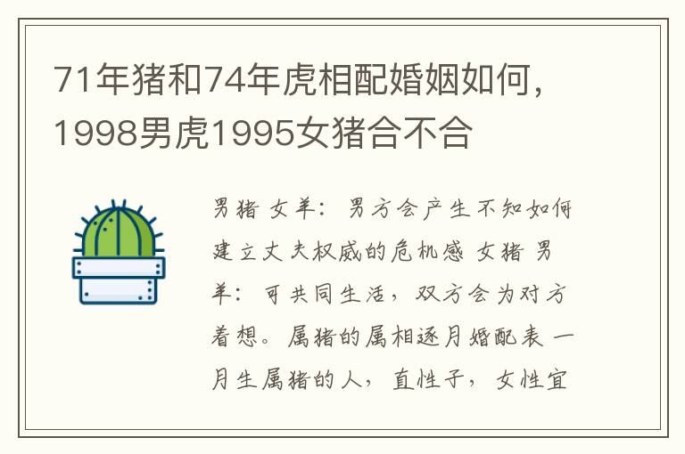 71年猪和74年虎相配婚姻如何，1998男虎1995女猪合不合