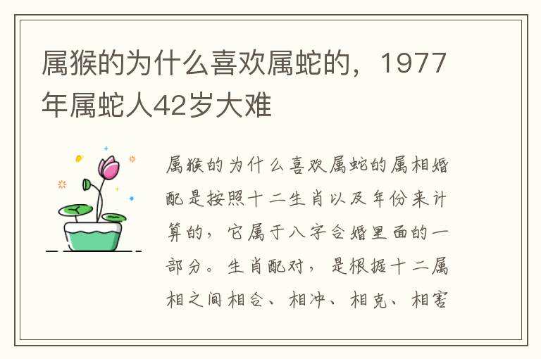 属猴的为什么喜欢属蛇的，1977年属蛇人42岁大难