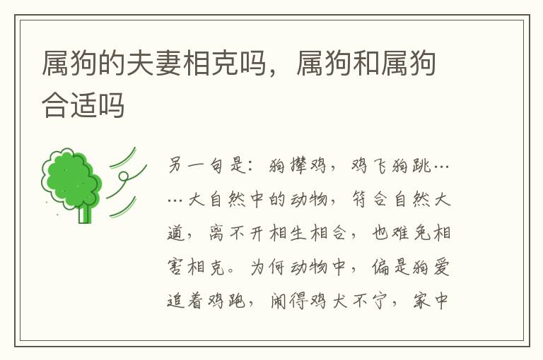 属狗的夫妻相克吗，属狗和属狗合适吗