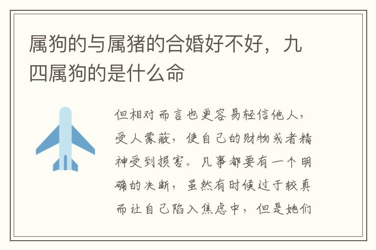 属狗的与属猪的合婚好不好，九四属狗的是什么命