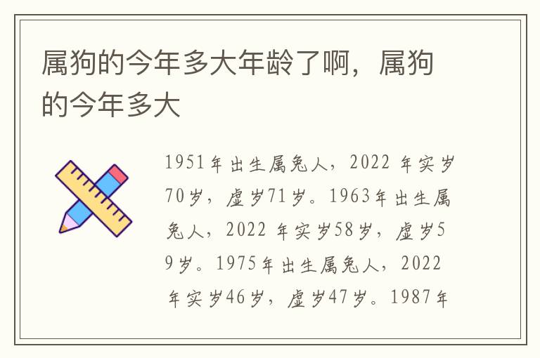 属狗的今年多大年龄了啊，属狗的今年多大