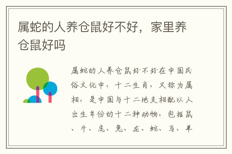属蛇的人养仓鼠好不好,家里养仓鼠好吗