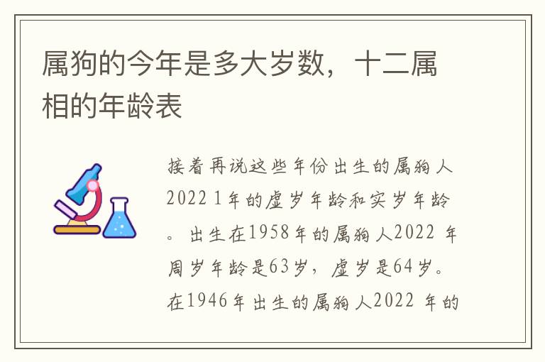 属狗的今年是多大岁数，十二属相的年龄表